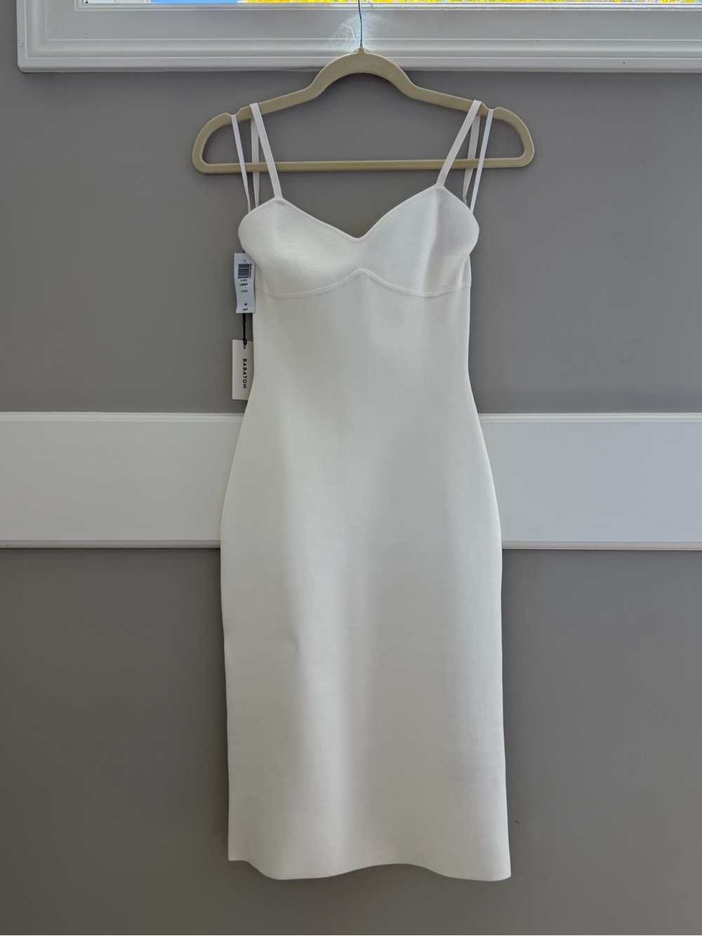 Babaton Lariat Dress